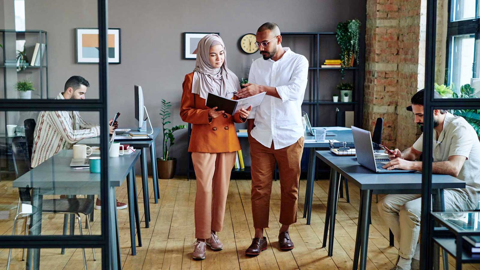 Visa Consulting